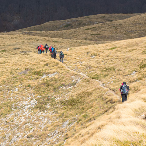 Šetnjica po brdima